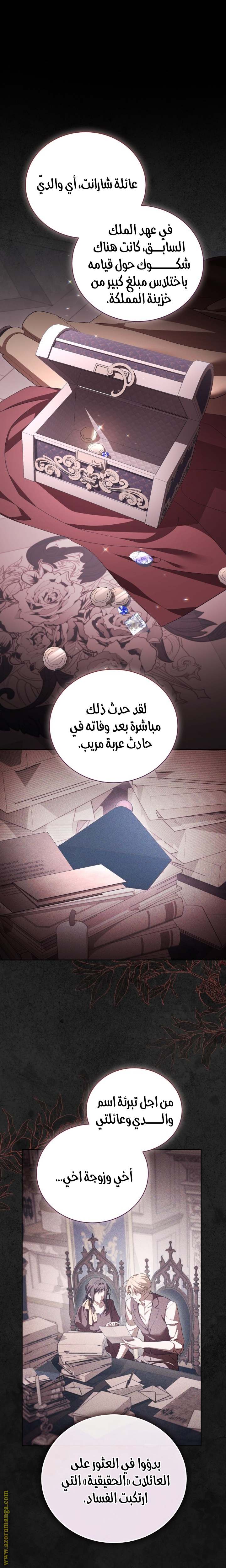 الصفحة 17