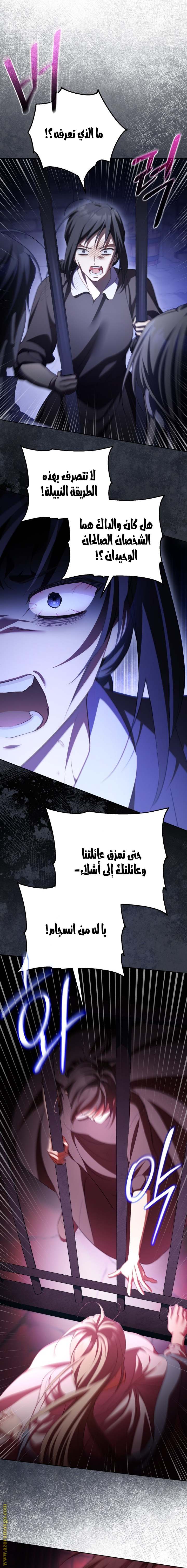 الصفحة 20