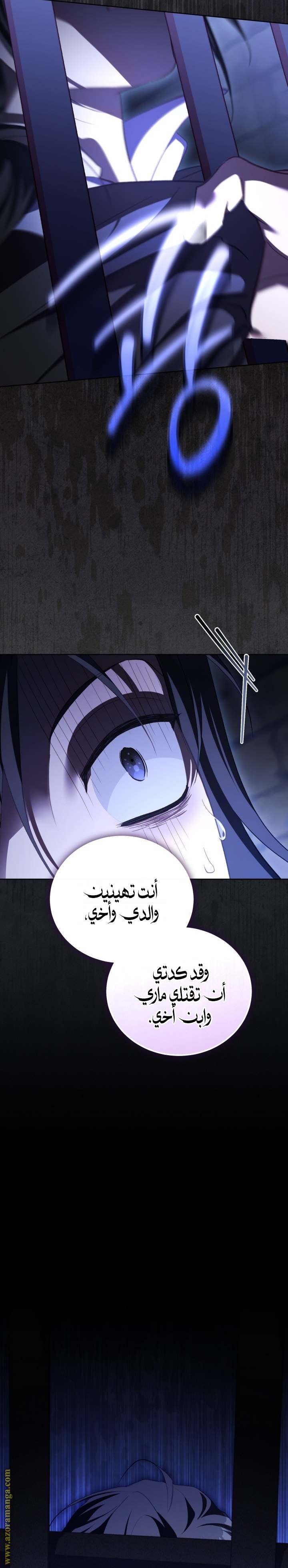 الصفحة 24