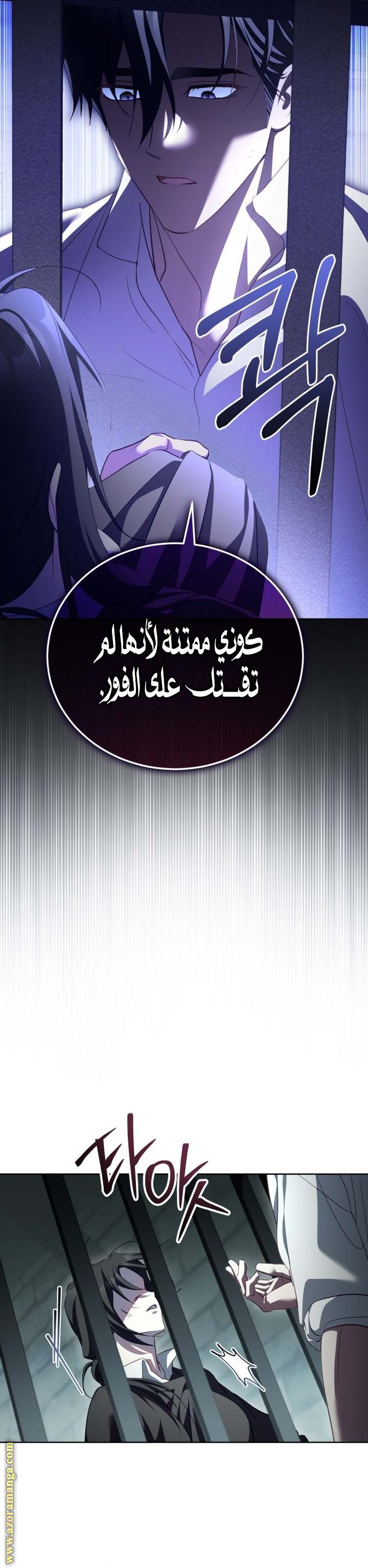 الصفحة 25