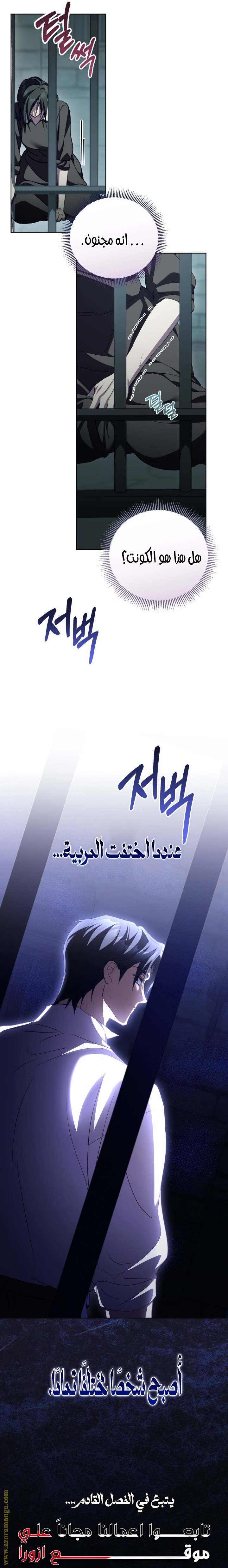 الصفحة 26
