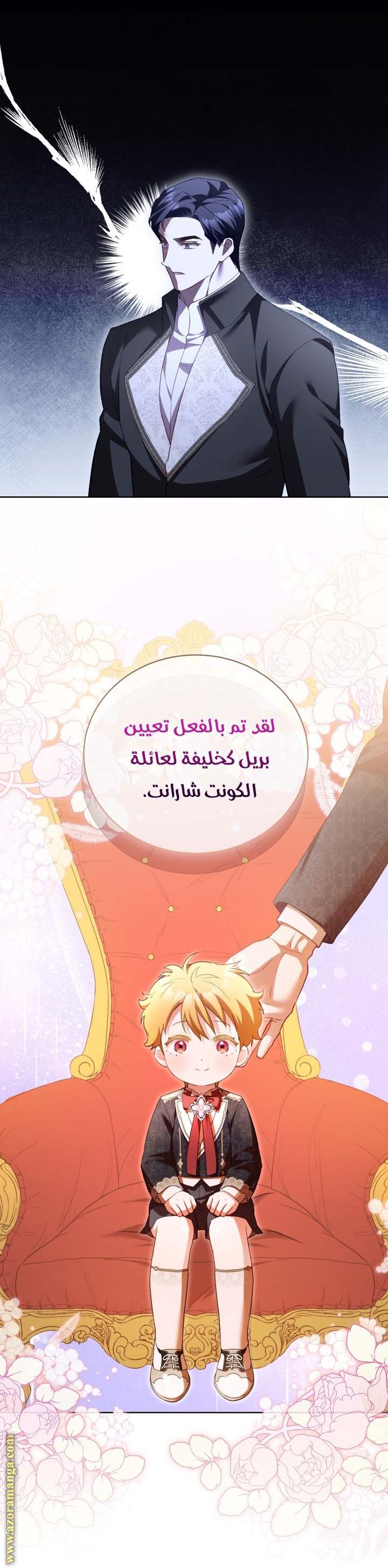 الصفحة 17