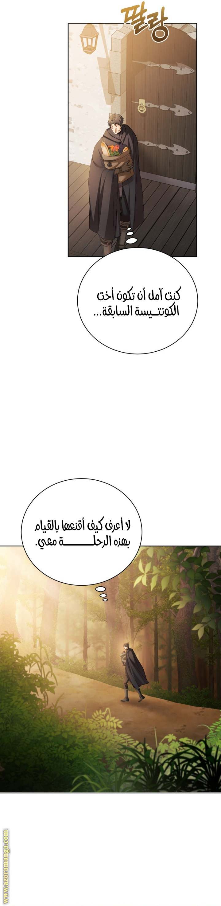 الصفحة 28