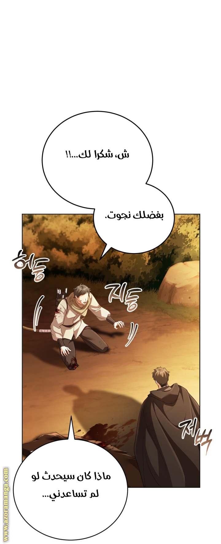 الصفحة 13