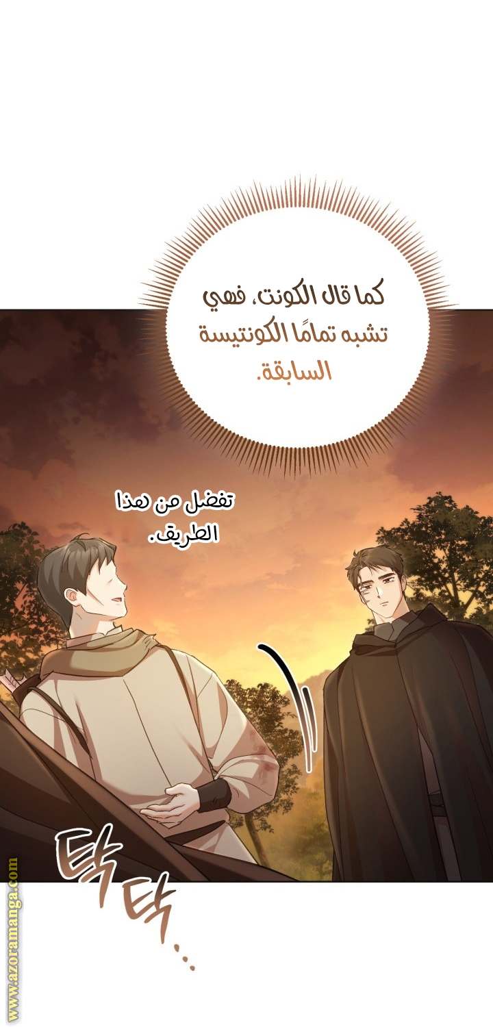 الصفحة 29
