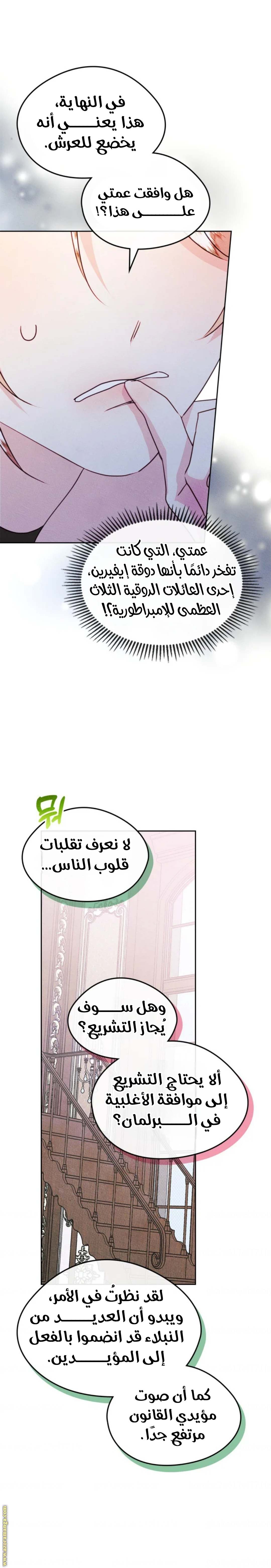 الصفحة 13