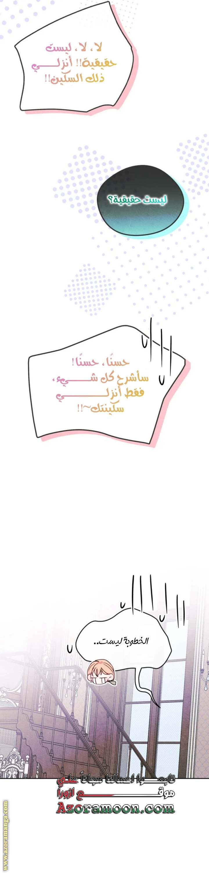 الصفحة 26