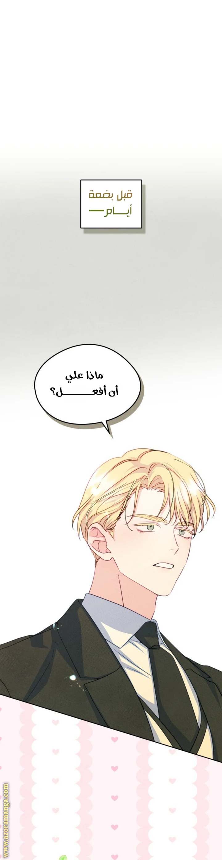 الصفحة 27