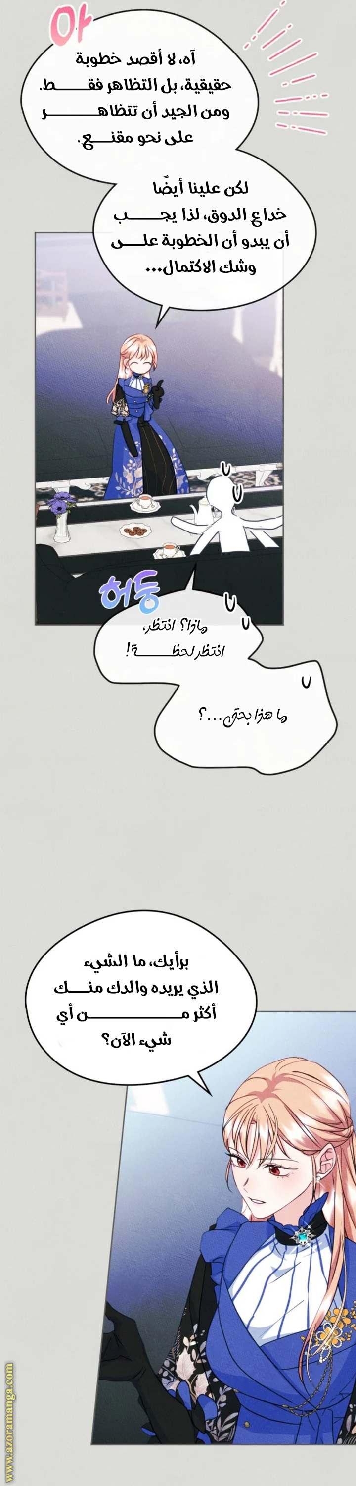 الصفحة 29