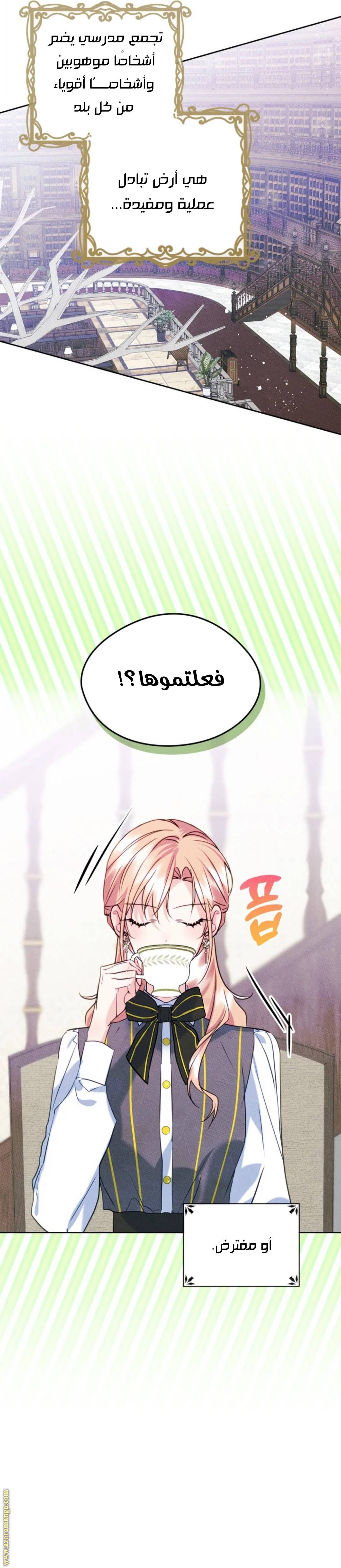 الصفحة 3