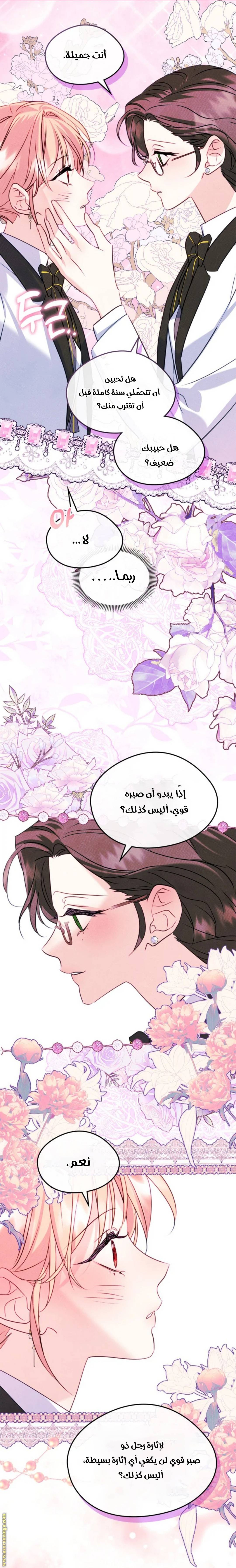 الصفحة 26