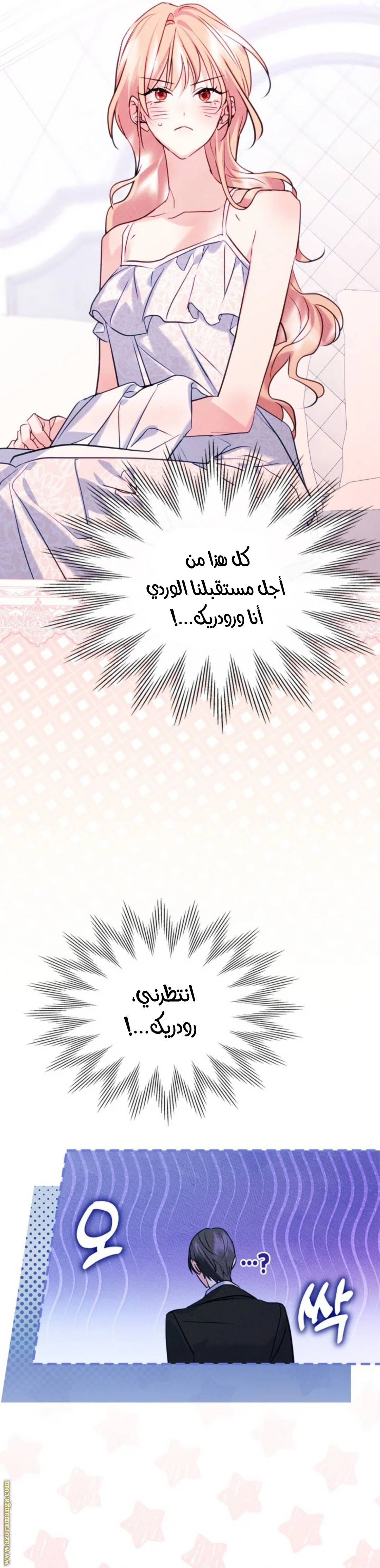 الصفحة 29