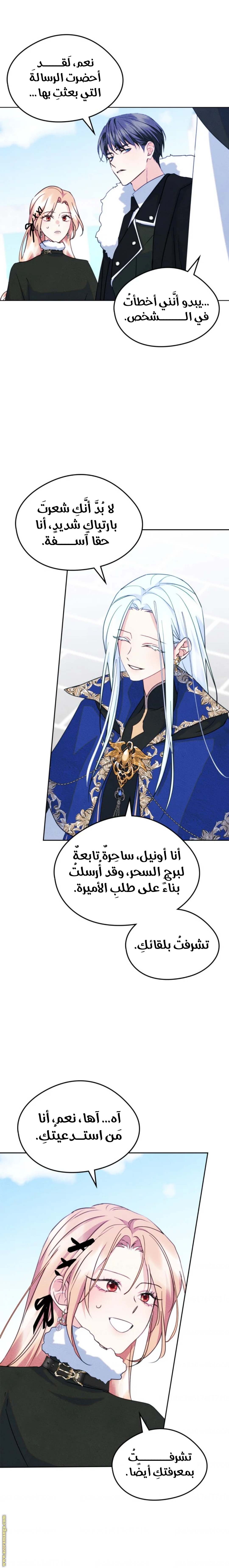 الصفحة 3
