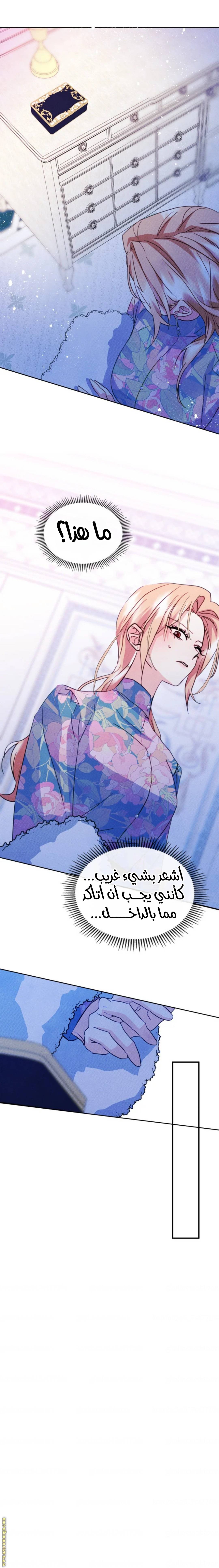 الصفحة 10
