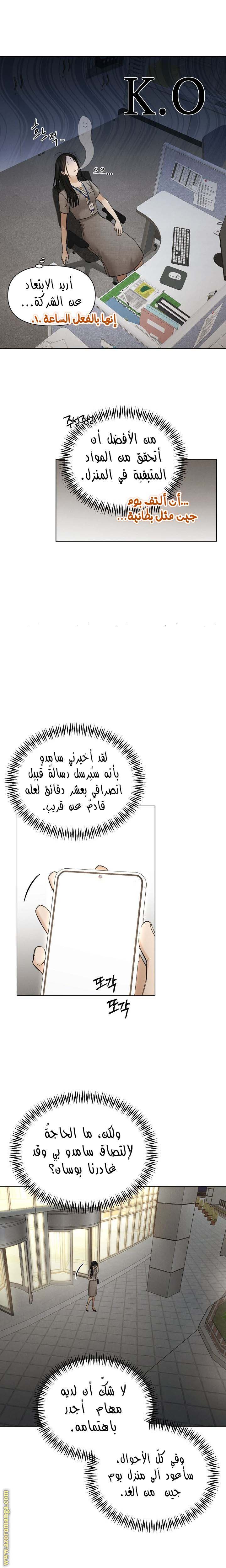 الصفحة 11