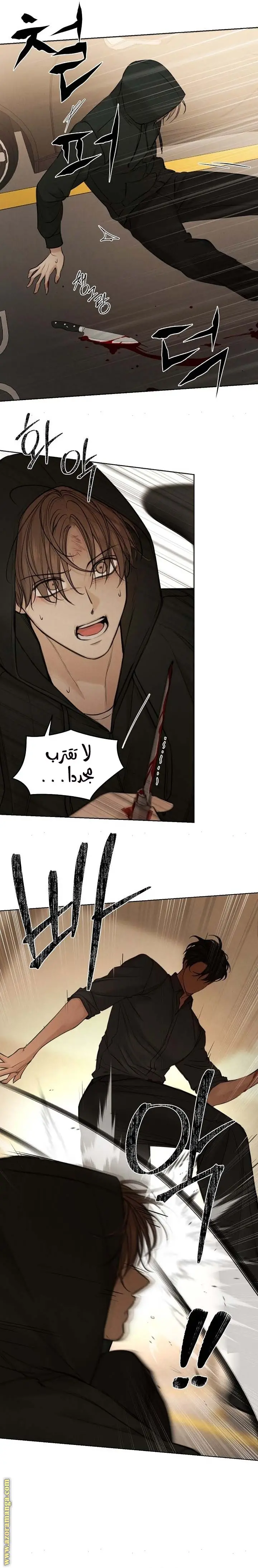الصفحة 13