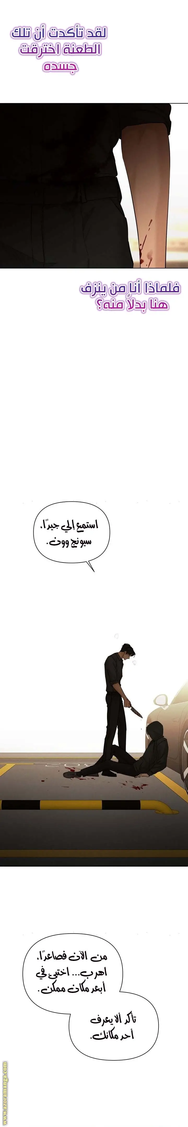 الصفحة 16