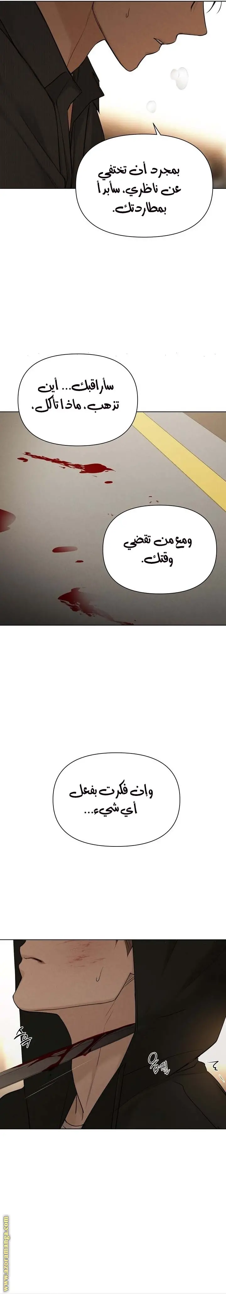 الصفحة 17