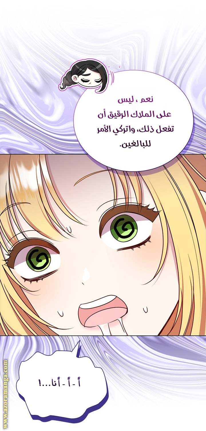 الصفحة 26