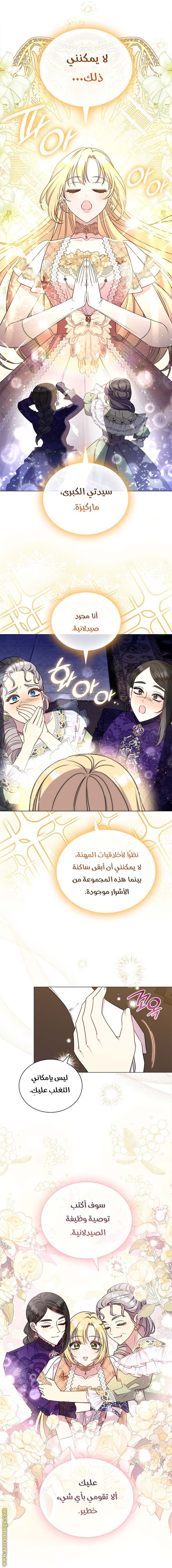 الصفحة 28