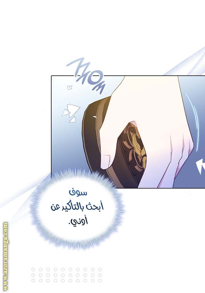 الصفحة 46