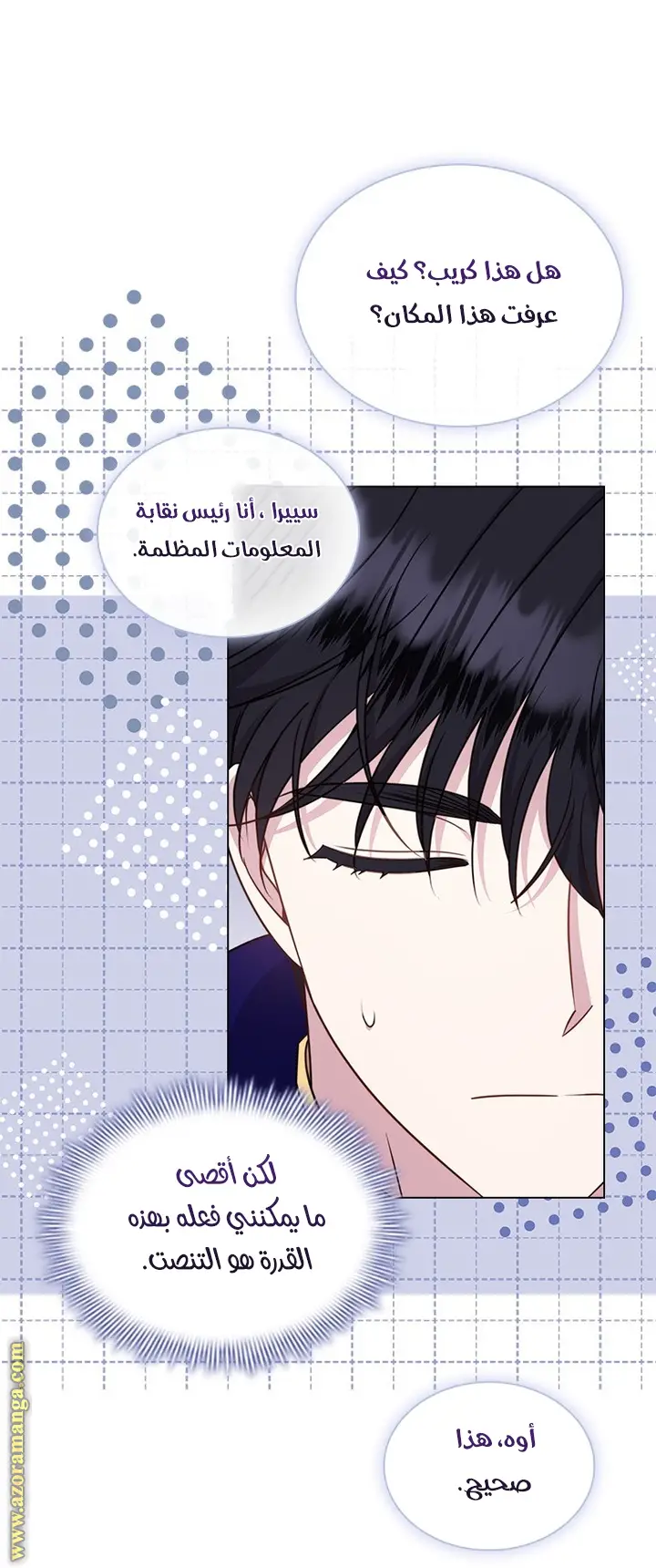 الصفحة 25