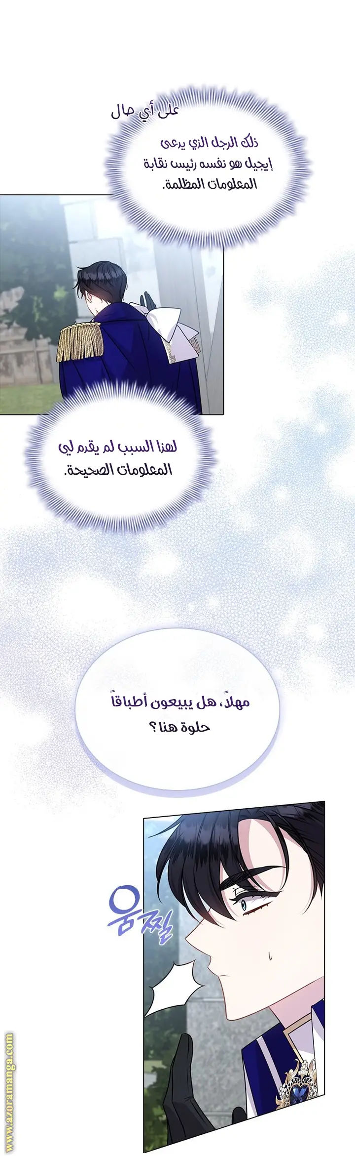 الصفحة 26