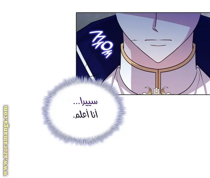 الصفحة 29