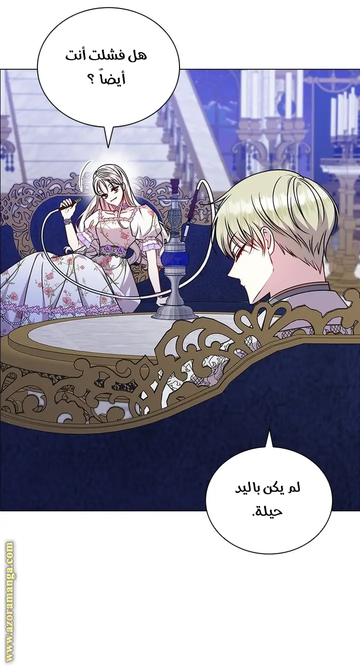 الصفحة 29