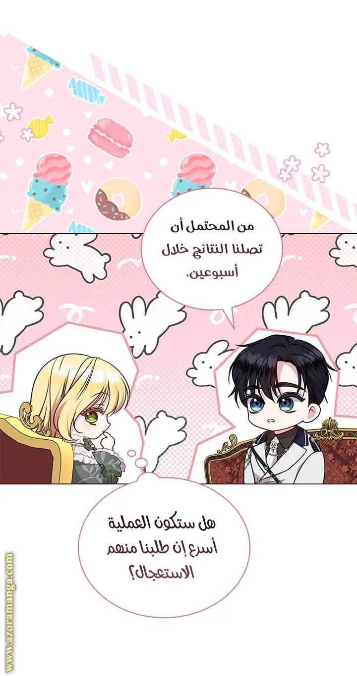 الصفحة 21