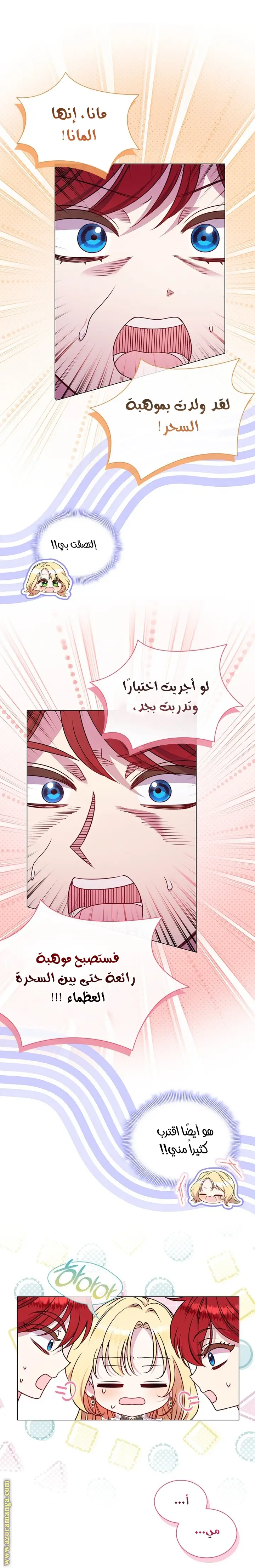 الصفحة 31