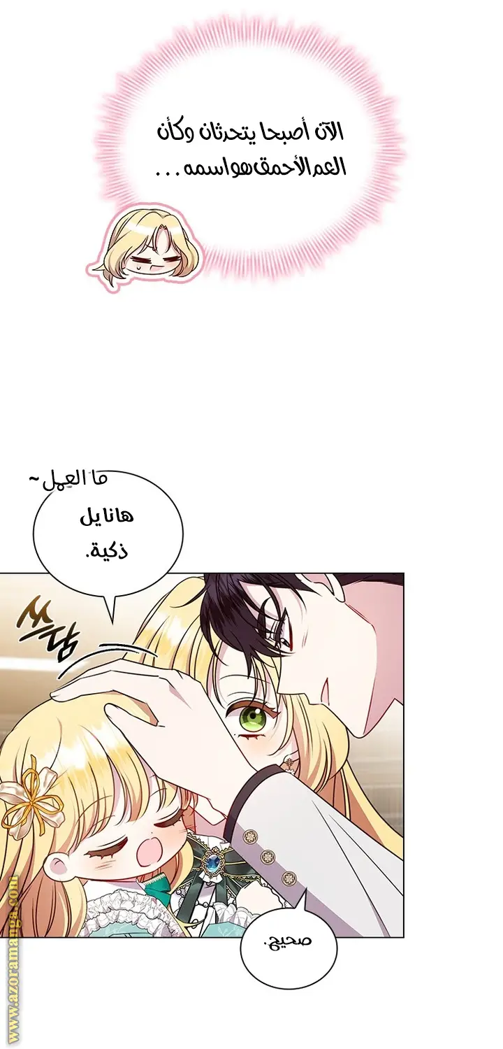 الصفحة 41