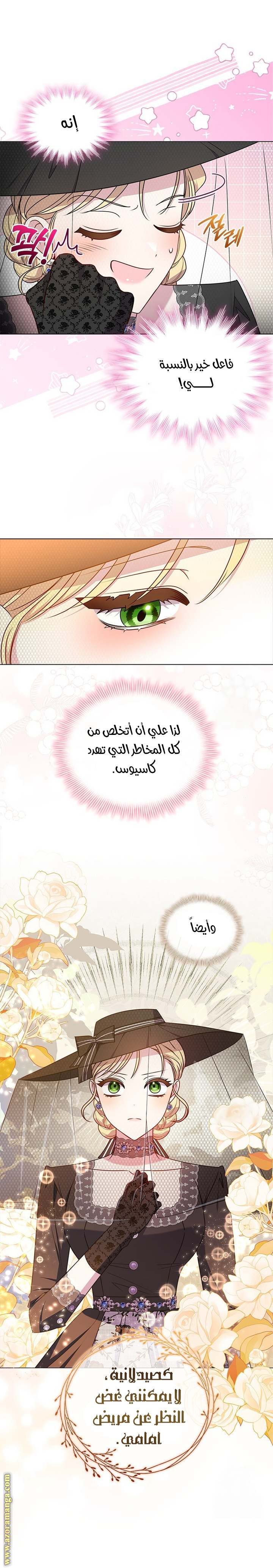 الصفحة 26