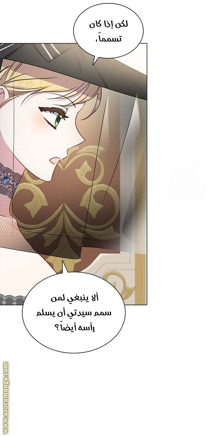 الصفحة 28