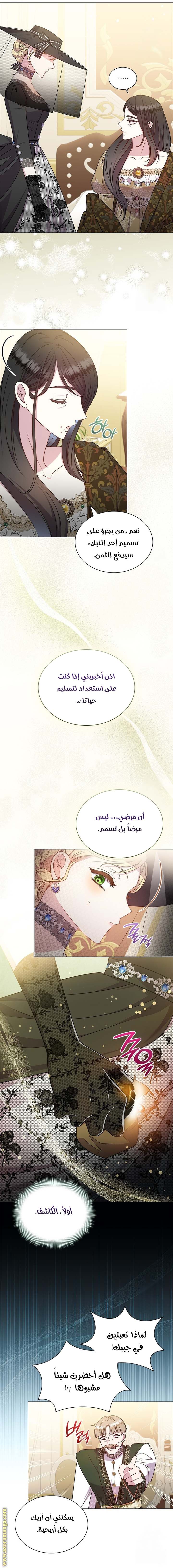 الصفحة 29