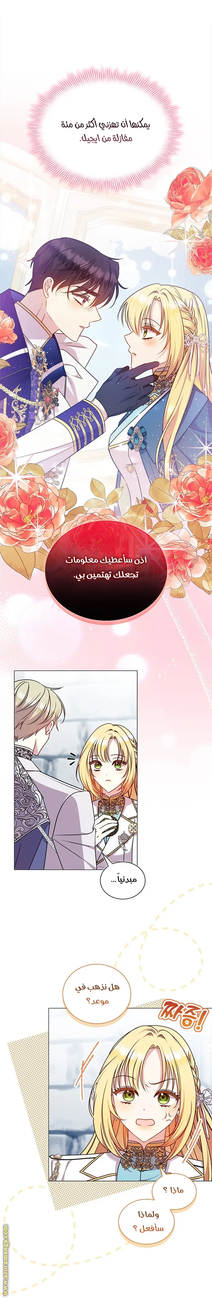 الصفحة 26