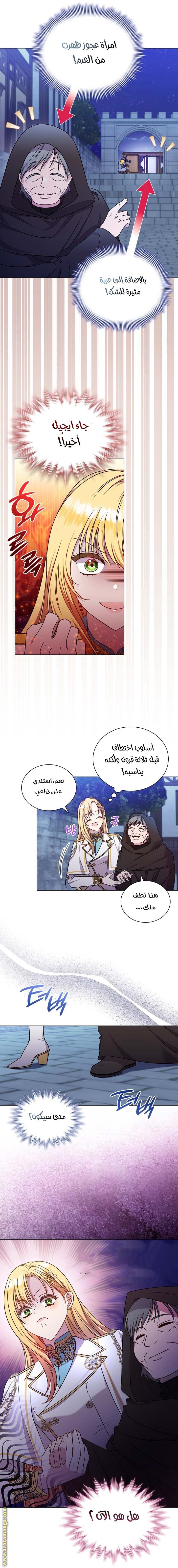 الصفحة 29