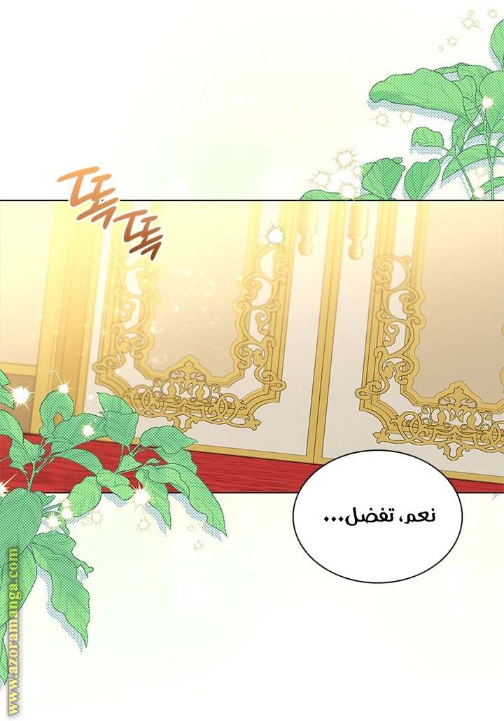 الصفحة 31