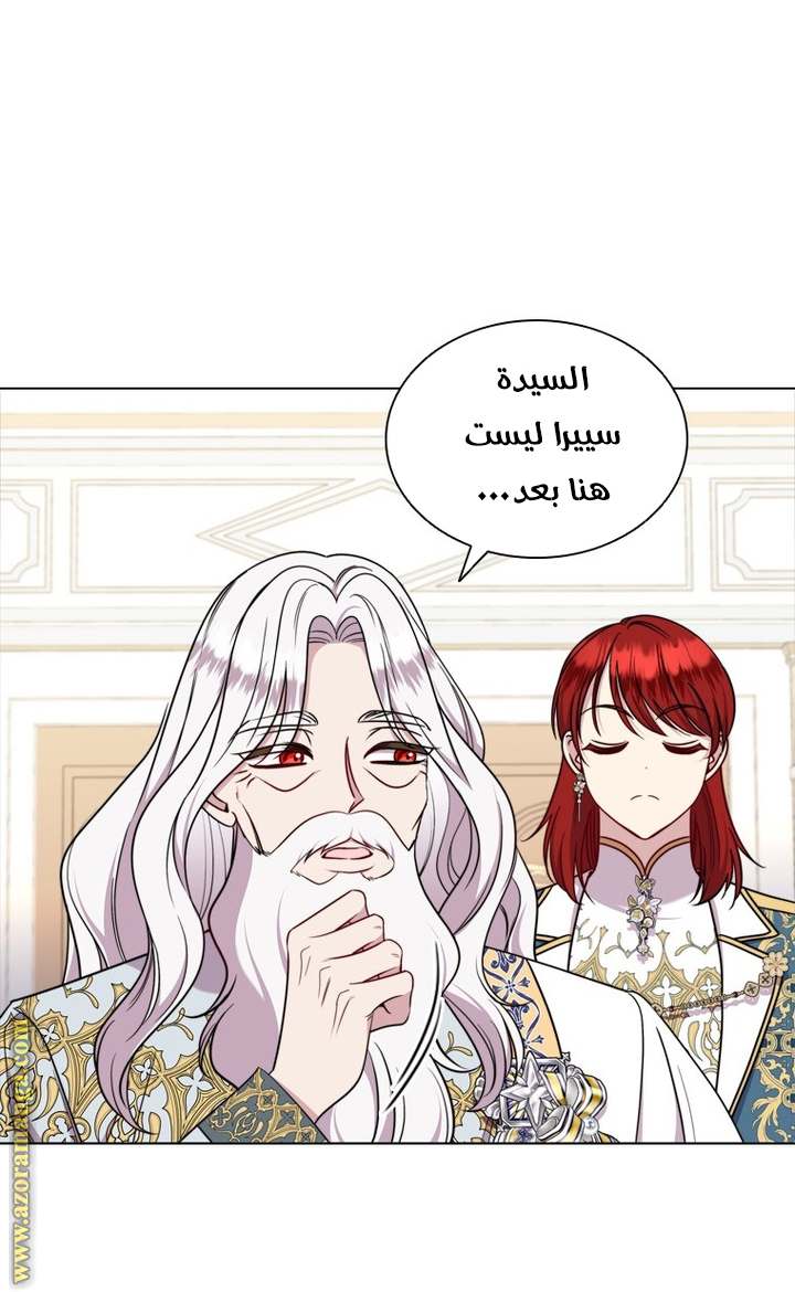 الصفحة 46
