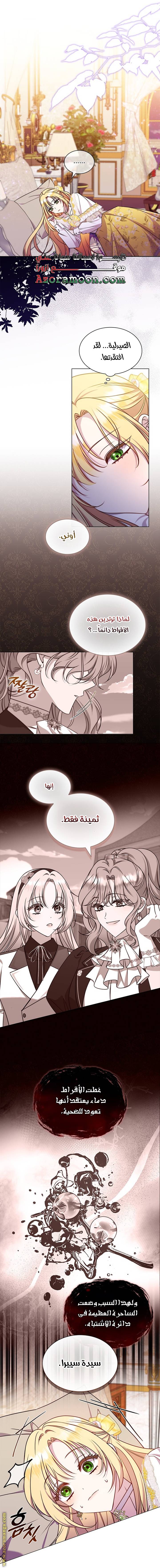 الصفحة 17