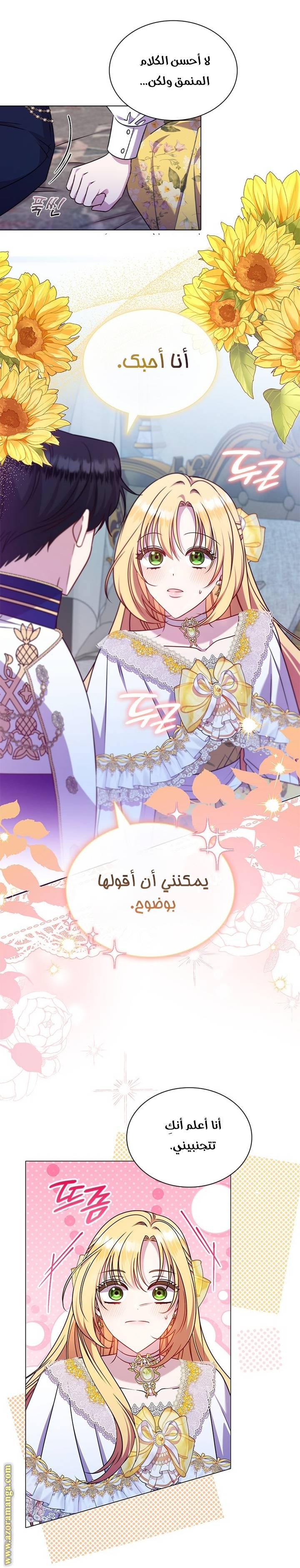 الصفحة 29