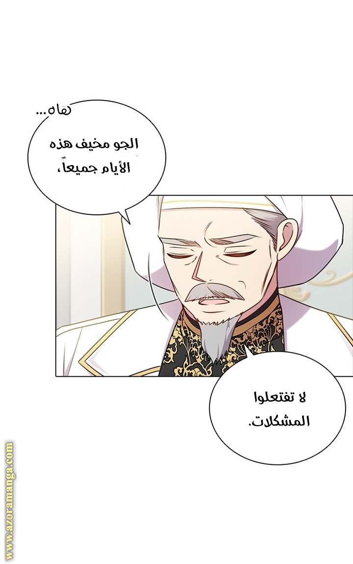 الصفحة 17