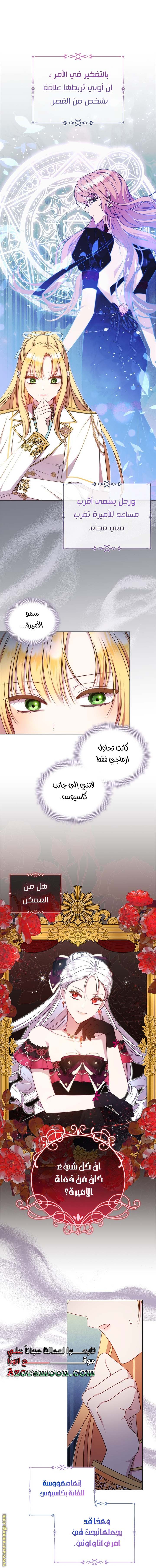 الصفحة 19