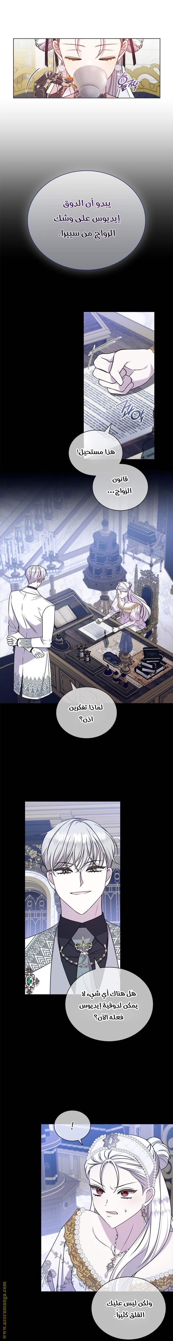 الصفحة 25