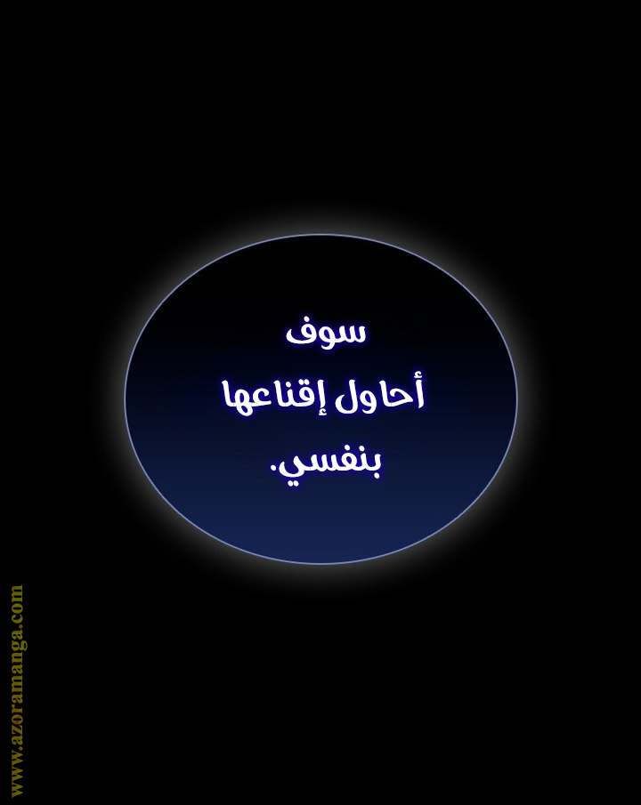 الصفحة 26