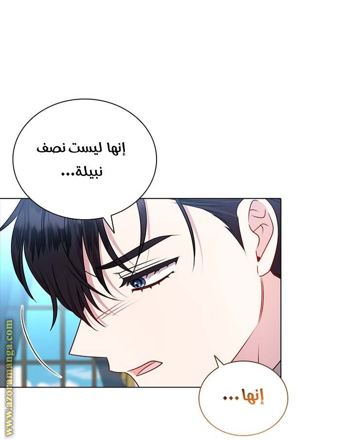 الصفحة 38