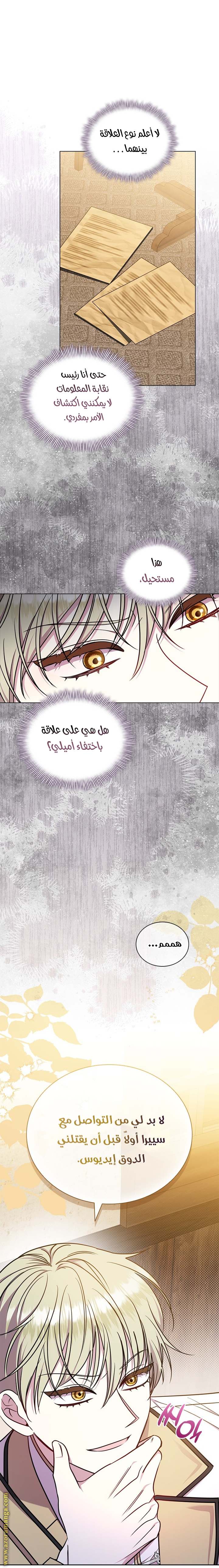الصفحة 17