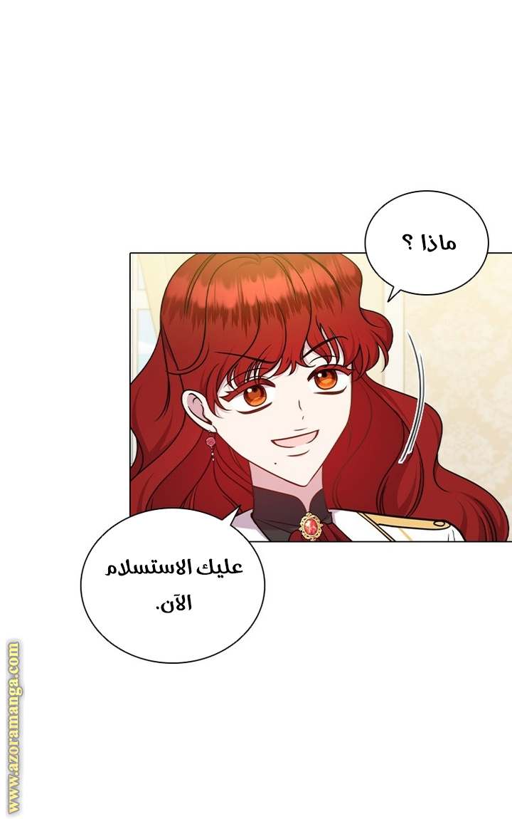 الصفحة 42