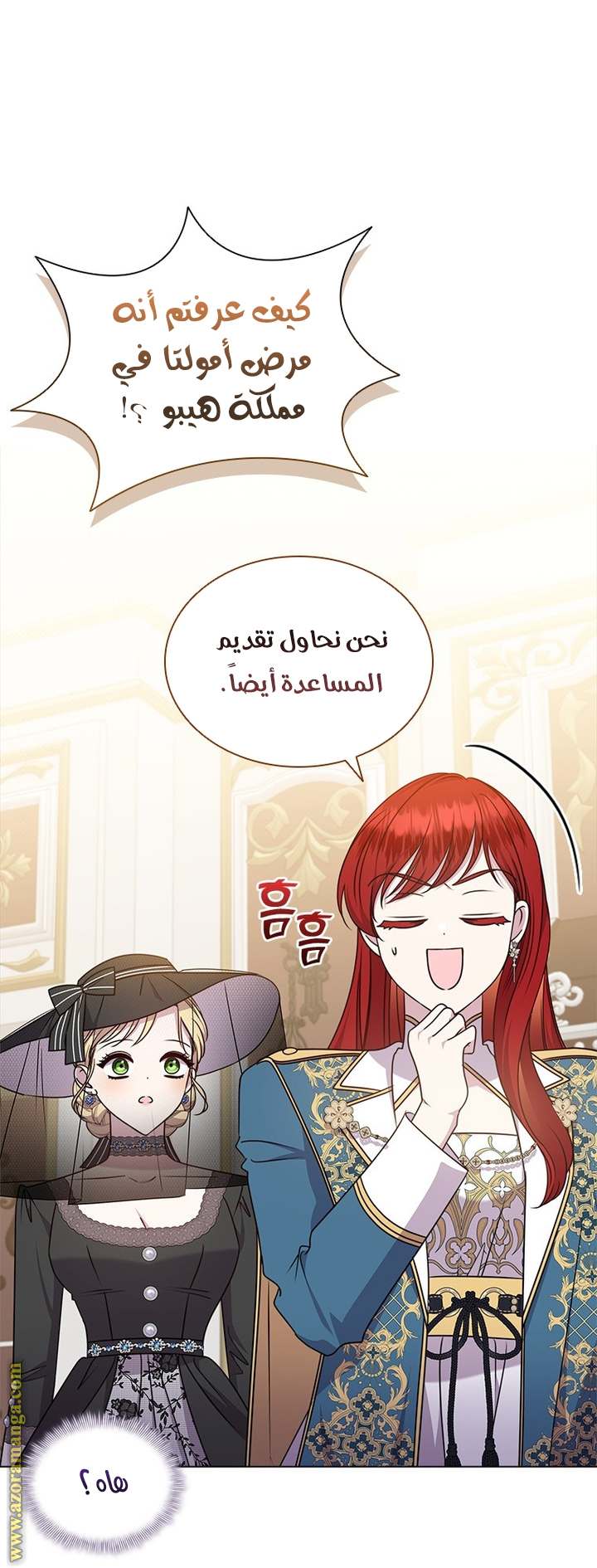 الصفحة 43