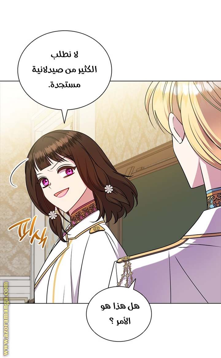 الصفحة 26